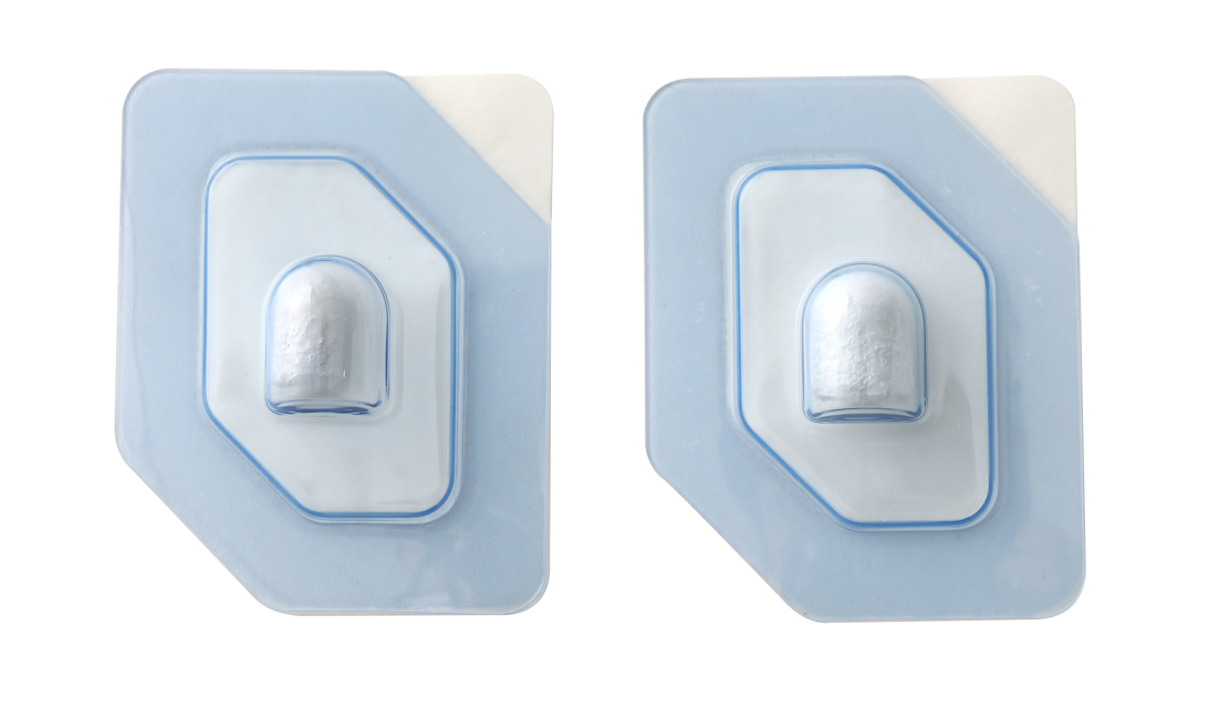 Bone graft 'CollaOss Plug' [xenograft bone & collagen] - NEO IMPLANTS